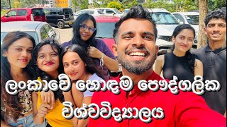 SLIIT Uni Tour  Campus Vlog  Lasindu Senarath [upl. by Idnat]