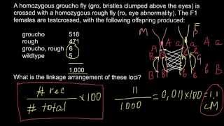 How to calculate linkage arrangements of loci [upl. by Nirb814]