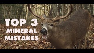 3 Things Youre Doing Wrong with Deer Minerals [upl. by Mchugh]