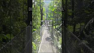 Don’t Watch If You’re Afraid Of Heights shorts hangingbridge afraidofheight hiking costarica [upl. by Suhsoj]