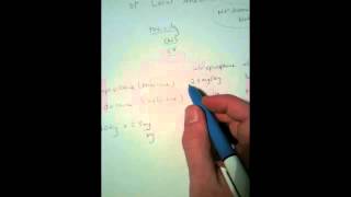 Calculating the Maximum Amount of Local Anesthetic [upl. by Booker]