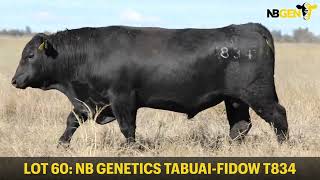 LOT 60 NB GENETICS TABUAIFIDOW T834 [upl. by Eidda]