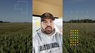 Get FieldView Tips From the Pros [upl. by Nyrol]