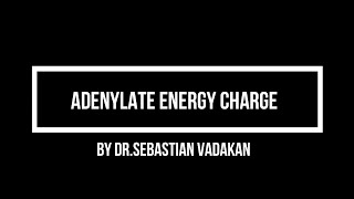 Adenylate Energy Charge [upl. by Adnamaa]