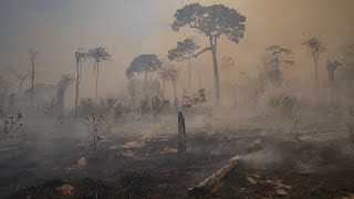 Un altro anno nero per gli incendi in Brasile [upl. by Lasiaf698]