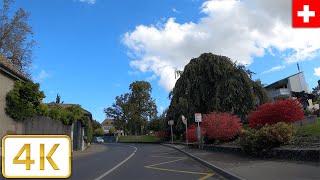 Geneva Switzerland Meinier to Cologny Driving Video  Autumn 2021【4K】Canton de Genève Suisse [upl. by Smoht]