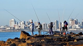 PESCA Y SORPRESA AL CAPTURAR UNA ESPECIE QUE HACÍA AÑOS NO PESCABA EN ESE LUGAR [upl. by Stelmach]