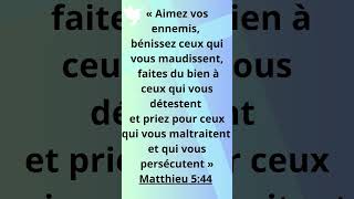 LA BIBLE✨ÉVANGILE SAINT MATTHIEU 544 [upl. by Janene647]