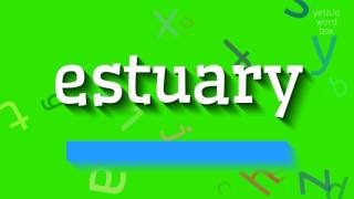 ESTUARY  How to pronounce Estuary [upl. by Arual]