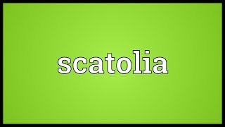 Scatolia Meaning [upl. by Dearr898]