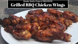 Seasoned BBQ Chicken Wings on the Grill [upl. by Brandon584]