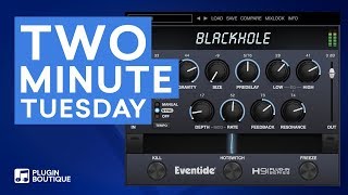 TMT  Spring Reverb Effect with Blackhole by Eventide [upl. by Mayeda468]