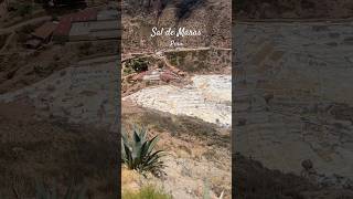 Come with me to the Salineras de Maras in peru travelvlog salt saltmine [upl. by Lotty219]