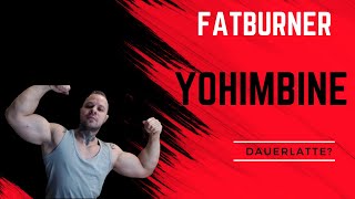 Yohimbine Fatburner und Dauerlatte [upl. by Fox]