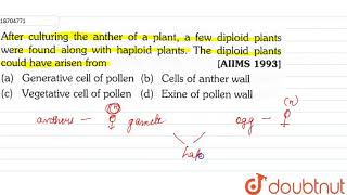 After culturing the anther of a plant a few diploid plants were found along with haploid plants [upl. by Mullen]