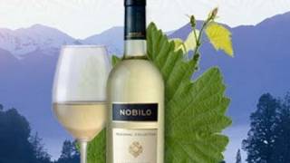 Nobilo Sauvignon Blanc Review 2010 [upl. by Myrtice]