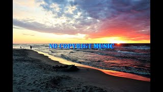 Whats the BEST No Copyright Music for Your Next Project [upl. by Hsejar360]