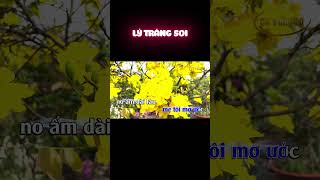 KARAOKE LÝ TRĂNG SOI VỌNG CỔ HƯƠNG XUÂN karaokecavongco shorts [upl. by Atirys663]