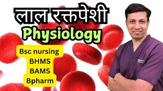 Physiology of Red blood cell  लाल रक्तपेशी मराठीमध्ये [upl. by Ardelia]