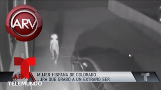 Mujer hispana asegura que grabó a un extraterrestre  Al Rojo Vivo  Telemundo [upl. by Olwena]