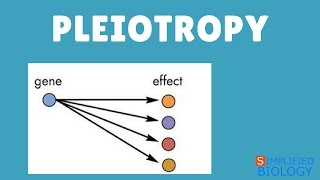 PLEIOTROPY for NEET AIIMS AIPMT MCAT JIPMER PREMED [upl. by Bess]