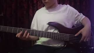 Barış Manço Anlıyorsun Değil Mi Bass Cover [upl. by Nadab]