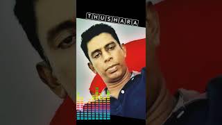 දොඹ මල් කැලෑවේ domba mal kalawe song musicgenre [upl. by Ahsinelg191]