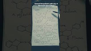 General biosynthetic pathway of Flavonoids Glycosides [upl. by Tigdirb409]