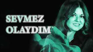 Gülden karabocek sevmez olaydım remix by DjNeFeS [upl. by Busiek77]