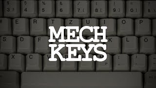 Mechanical Keyboards A Brief Introduction [upl. by Poppas]