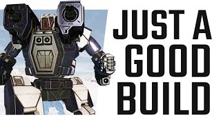 A Build that just works  Mechwarrior Online The Daily Dose 1146 [upl. by Norvall]