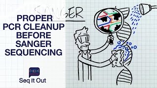 Proper PCR Cleanup before Sanger Sequencing  Seq It Out 12 [upl. by Niarda638]