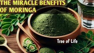 Health benefits of Moringa Oleifera the miracle tree [upl. by Felita]