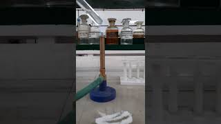 Ammonium molybdate test for Phosphate ion [upl. by Ghassan]