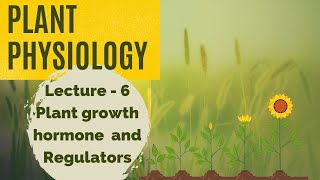 PLANT PHYSIOLOGY  Lecture  6 Plant growth Hormone and Regulators Go Agro [upl. by Joannes]