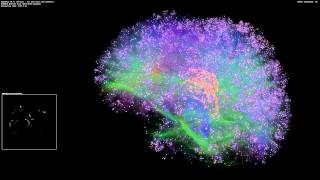 Artificial Brain Simulation  Thalamocortical System 8 Million Neurons  14 Billion Synapses [upl. by Dawn267]