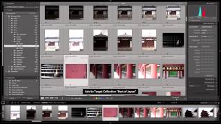 How to Quickly Add Photographs to a Collection in Lightroom  Adobe Lightroom [upl. by Straub367]