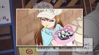 MAD Platelets chan  Hataraku Saibou Nico Nico Douga [upl. by Alhahs510]