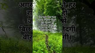 Be Irada Nazar Mil gayi shortsfeed204ytshortsfeed hindisong love music bollywood90severgreen [upl. by Ahsaekal405]