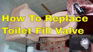 How To Replace Toilet Fill Valve With New Fluid Master kit [upl. by Akoyn]