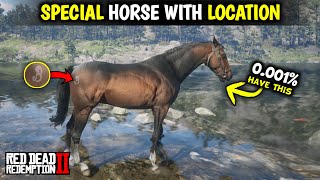 Special Turkoman Horse Location  Red dead redemption 2 [upl. by Mitzi]