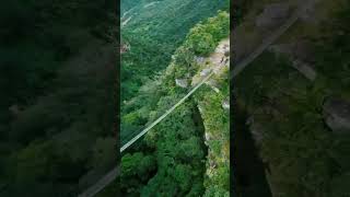 Lake Eland Suspension Bridge  Oribi Gorge Nature Reserve travel explore [upl. by Eelibuj]