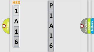 DTC Ford P1A16 Short Explanation [upl. by Lyell]