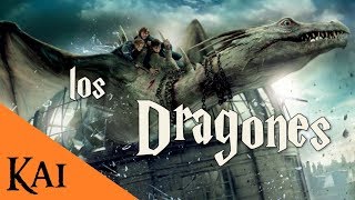 Los Dragones de Harry Potter [upl. by Myrlene]