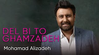 Mohammad Alizadeh  Del Bi To Gham Zadeh محمد علیزاده  دل بی تو غم زده [upl. by Oiramaj]