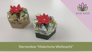 Anleitung Sternenbox quotMalerische Weihnachtquot  Stampin Up Verpackung basteln deutsch [upl. by Eillom]