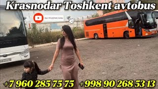 79650496969Краснодар Ташкент автобус Краснодар Худжанд Душанбе автобус Ростов Ташкент Худжанд [upl. by Peace]