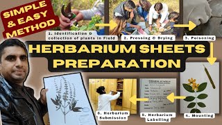 Herbarium Sheets Preparation l Complete Guideline l Biodiversity  Info Biodiversity [upl. by Gwenni595]