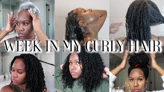 WEEK IN MY CURLY HAIR [upl. by Nodnab]