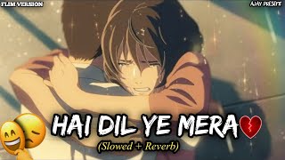 Hai Dil Ye Mera Hate Story 2  Lofi Slowed  Reverb  Arijit Singh  Lofi Ajay Beats [upl. by Ardnauqal]